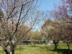 -渤公岛生态公园