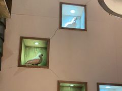大堂-茅庐毛血旺(烟台大悦城店)