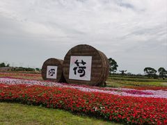 -嘉北郊野公园