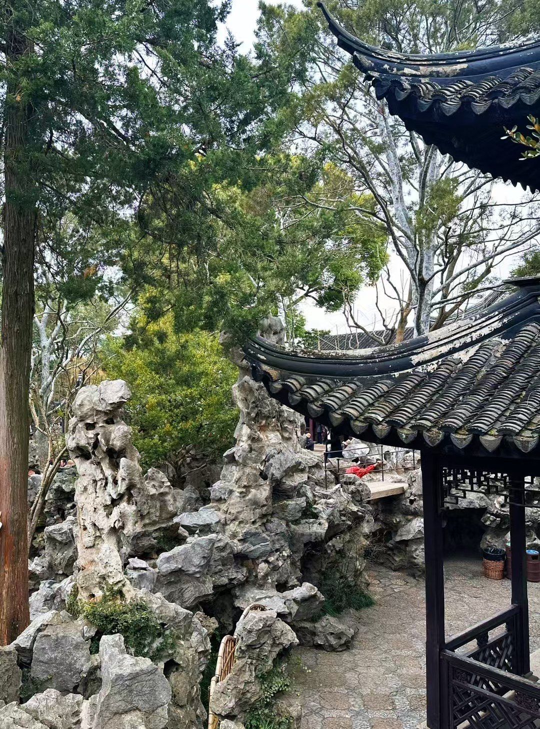 苏州园林——狮子林