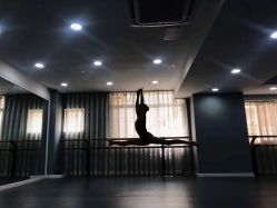 -昕艺尚皇家芭蕾舞蹈中心