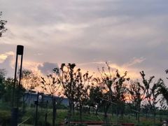 -春花秋色城市公园