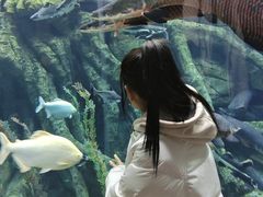-哈尔滨波塞冬海底世界