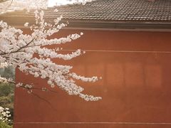 -浙江省杭州高级中学(贡院校区)