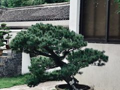 -水绘园