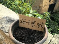 -杨家堂村