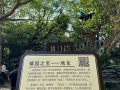 -朴园