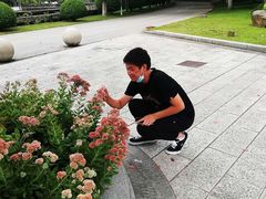 -上海鲜花港