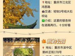 -埠口精酿夜景餐酒吧· BREWPORT BISTRO(长嘉汇重庆之眼店)
