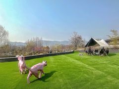 -雅达·阳羡溪山小镇中心