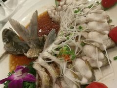 -田园小观园(武大店)