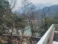 -原乡芦茨咖啡