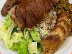 -瑞霖·隆江猪脚饭