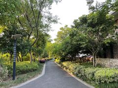 -西溪国家湿地公园