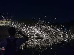 -大塘金香草谷