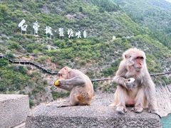 -白帝城·瞿塘峡景区