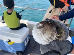 -小猫钓鱼海钓俱乐部(椰梦长廊店)