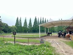 -太阳岛旅游度假区