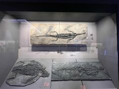 -贵州省地质博物馆