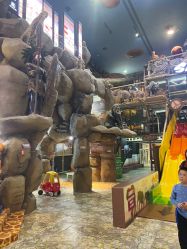 -卡通尼·Safari非洲探索乐园·生日会(金桥国际商业广场店)