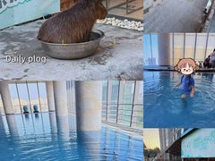 -廊坊固安福朋喜来登酒店