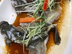 -寻味顺德·南记酒家·传统顺德菜·鱼生(广源路店)