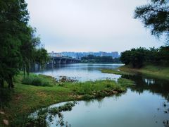 -松山湖风景区松湖烟雨