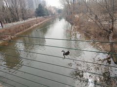 -长白岛森林公园