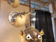 -玄品河豚(那覇國際通里之関)