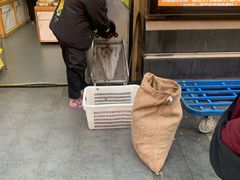 -粒上皇(悦荟广场店)