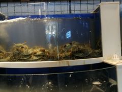-海天盛宴新派海鲜自助餐厅(群力店)