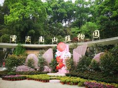 -南山植物园