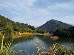 -广州市石门国家森林公园