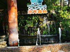 -绿光森林餐厅