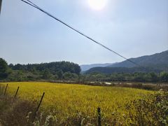 -素山寺森林公园