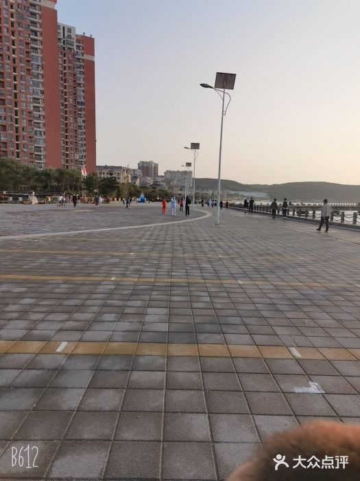 金紫荆松骨休闲水会图片