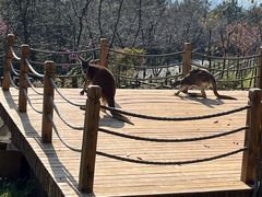 -云南野生动物园