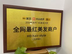-HD HAIR STYLE