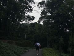 -广州市白云山风景名胜区