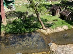 -广东惠东海龟国家级自然保护区