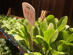 -真爱中国餐馆·年华店(朱雀大街店)