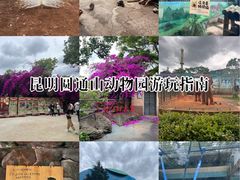 -昆明动物园