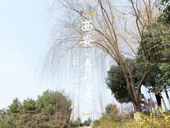 -西安青龙寺遗址景区