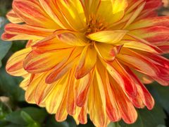 -上海植物园-4号门售票处