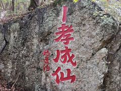 -龙道沟景区