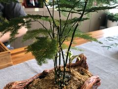 -小茶闲舍·观景商务茶馆(广州塔店)