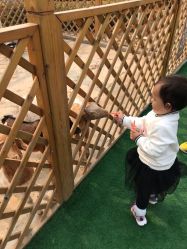 -萌宠亲子动物乐园(槐房万达店)