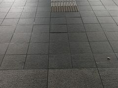 -乐天免税店(明洞店)