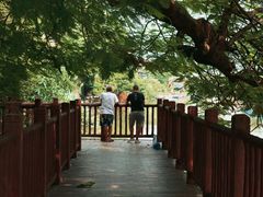 -伦教678文化街