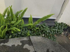 -大理地热国